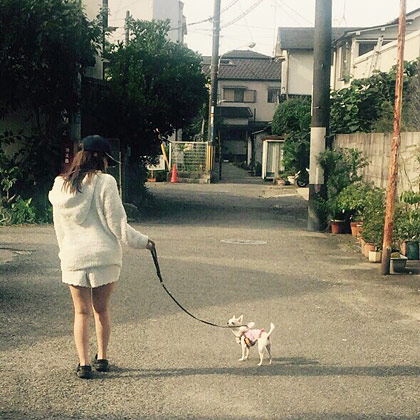 カエラ西中島 明日香 キララ