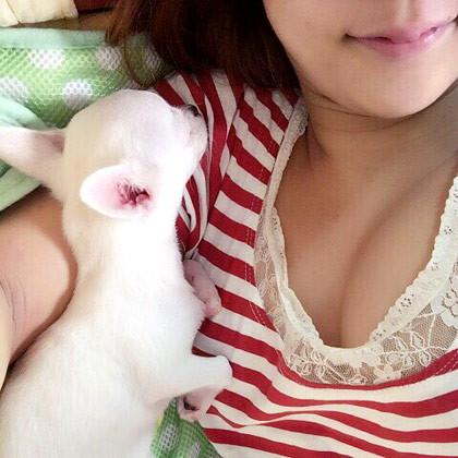 カエラ西中島 明日香 キララ