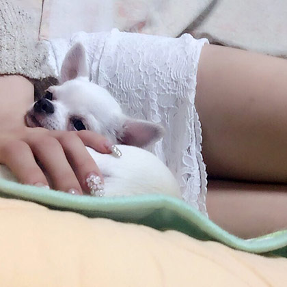 カエラ西中島 明日香 キララ